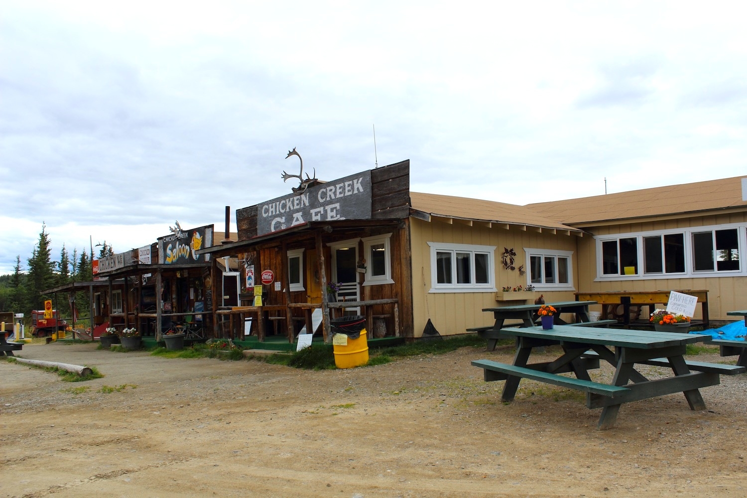 A town called Chicken, Alaska kooky traveller